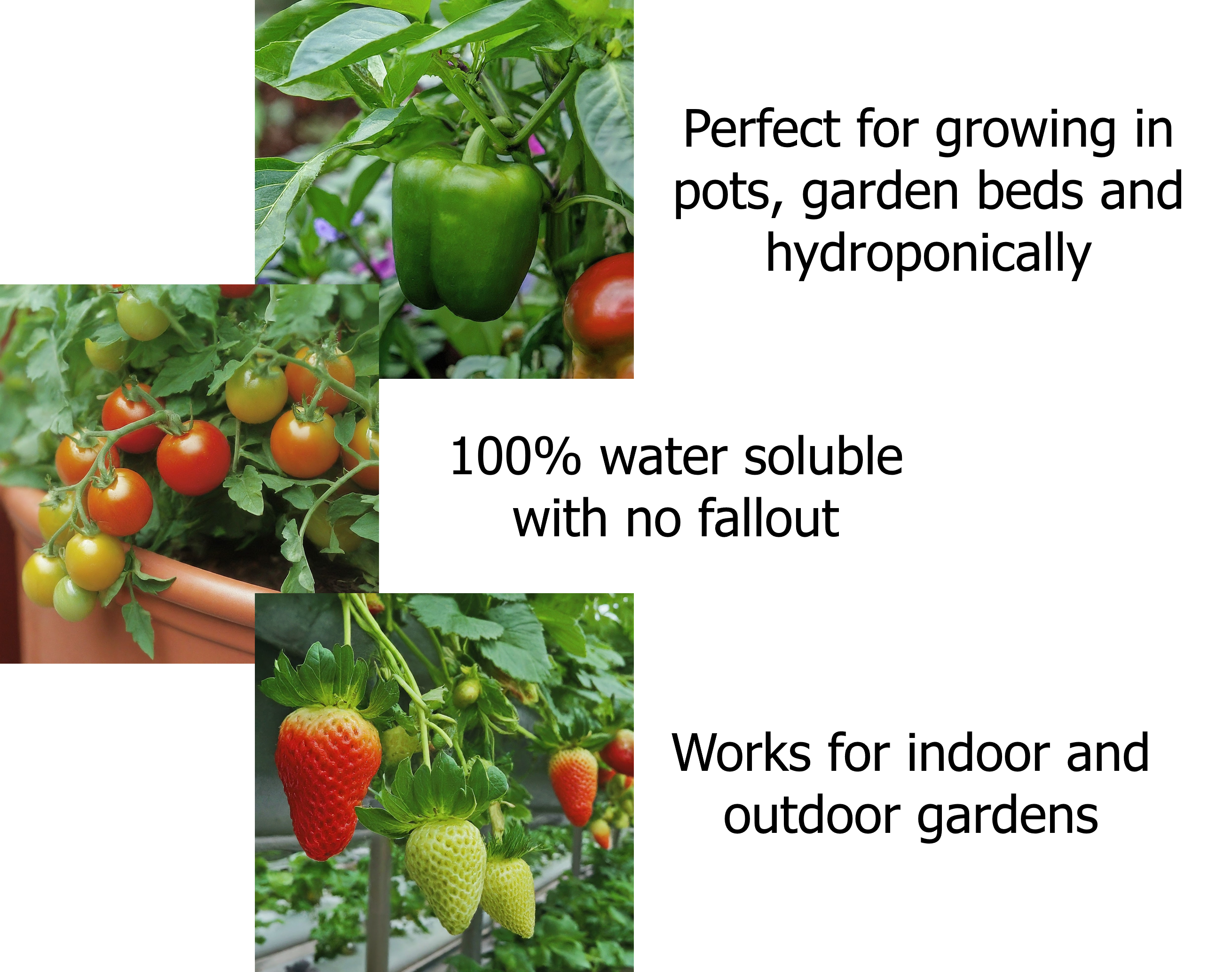 3 Part Masterblend Nutrient Kit (Tomato Formula) - Image 4