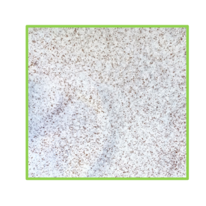 Masterblend Lettuce Formula (8-15-36) - 25 kg BULK