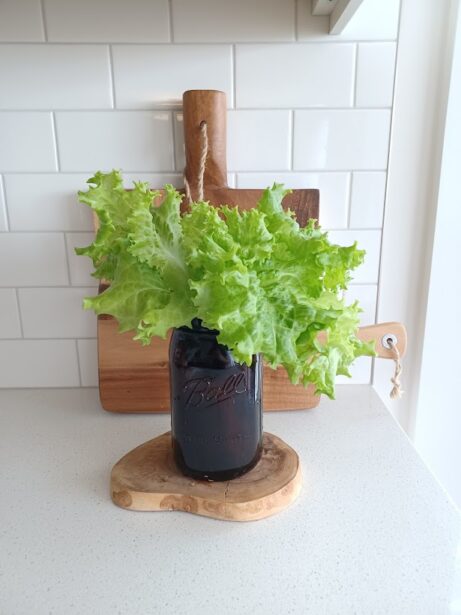 Hydroponic Mason Jar Countertop Garden - Image 3