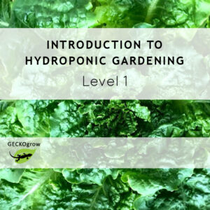 Introduction to Hydroponic Gardening (Level 1)