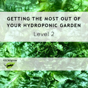 Getting the Most out of Your Hydroponic Garden (Level 2)