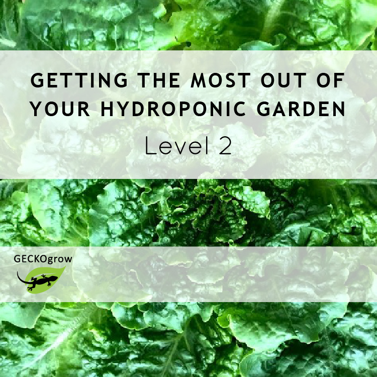 Getting the Most out of Your Hydroponic Garden (Level 2)